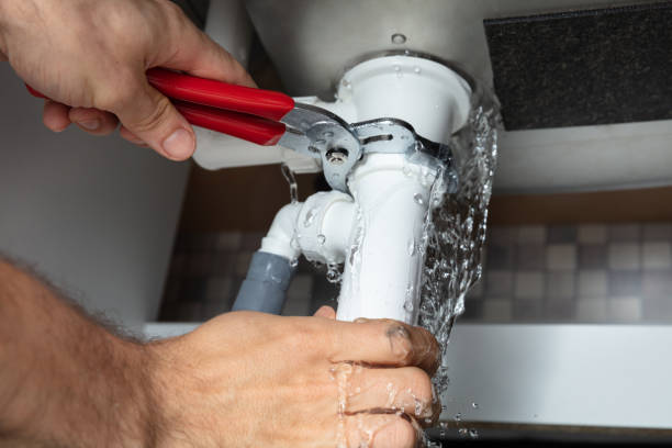 Best Water damage repair service  in Atwater, MN