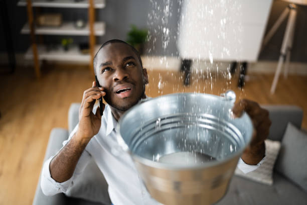 Best Water damage cleanup near me  in Atwater, MN
