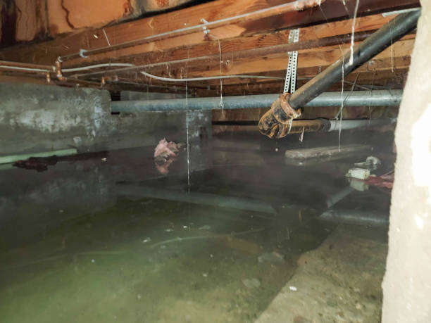 Best 24/7 water damage repair  in Atwater, MN
