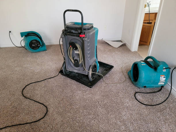 Best Fire Damage Restoration  in Atwater, MN
