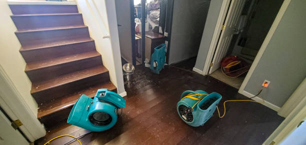 Best Emergency water damage restoration  in Atwater, MN