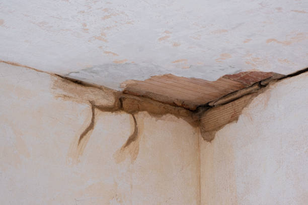 Best Professional water damage repair  in Atwater, MN