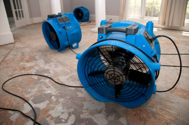 Best Professional water damage repair  in Atwater, MN