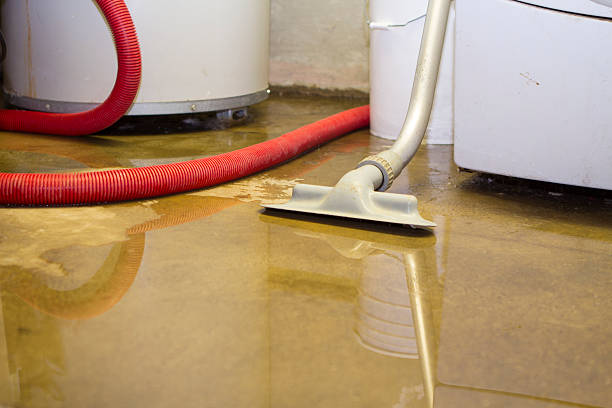 Best Emergency water damage restoration  in Atwater, MN