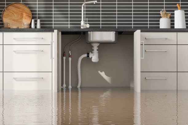 Best Sewage cleanup and water damage restoration  in Atwater, MN