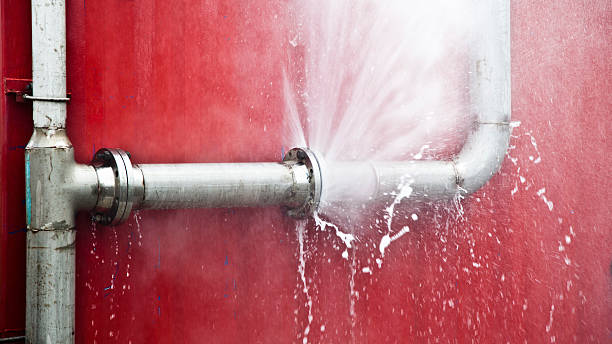 Best Local water damage restoration  in Atwater, MN
